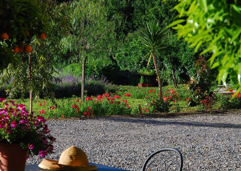 Agriturismo Coppi Rossi Torrazza  Exterior foto